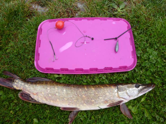 foto k příspěvku  od Kesam