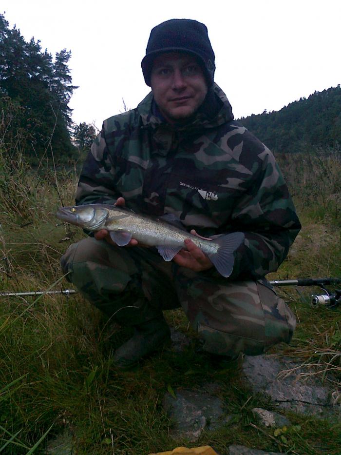 foto k příspěvku  od Kesam