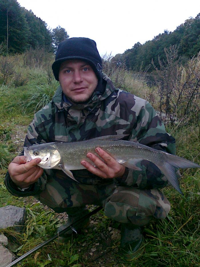 foto k příspěvku  od Kesam