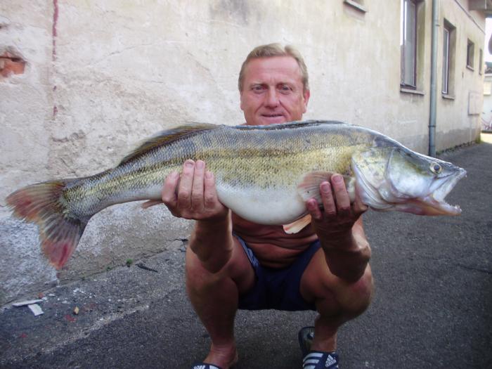 foto k příspěvku  od Kesam