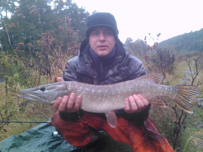 foto k příspěvku  od Kesam