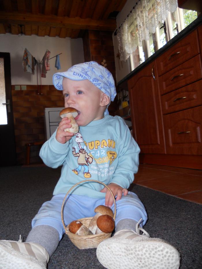 foto k příspěvku  od dolph