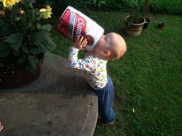 foto k příspěvku  od JR