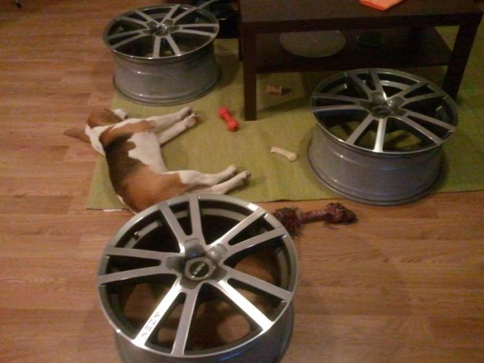 foto k příspěvku  od Vasekkch