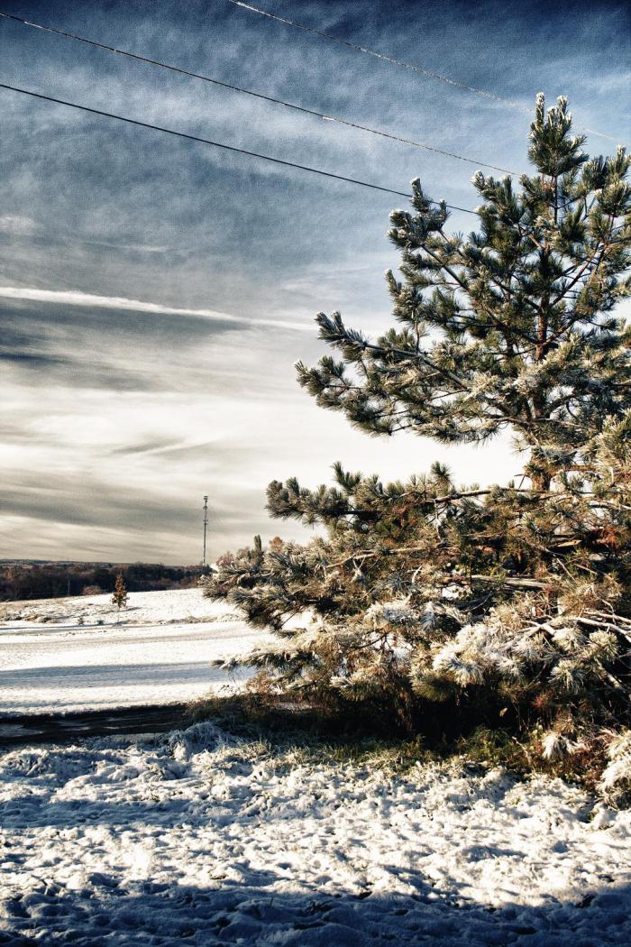 foto k příspěvku  od Mája