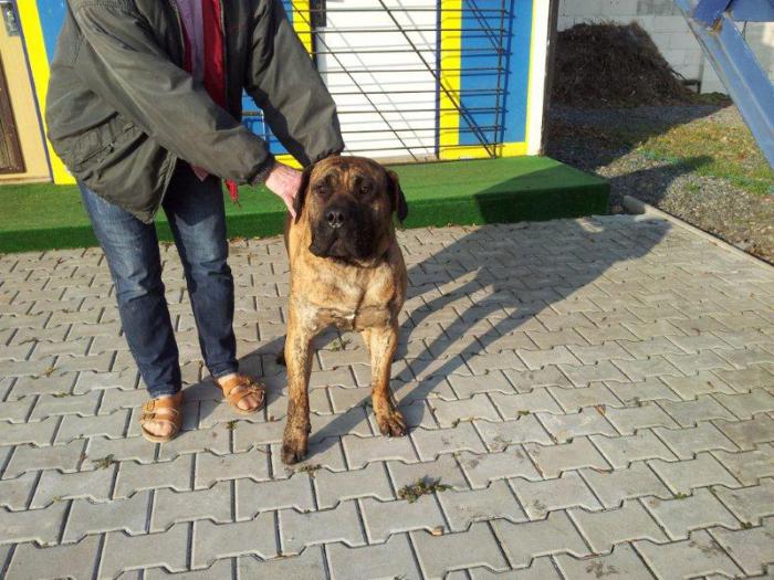 foto k příspěvku  od maresk