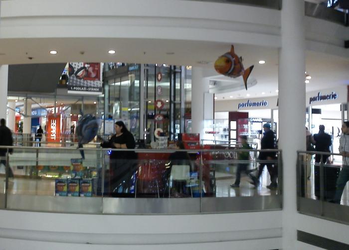 foto k příspěvku  od hawai