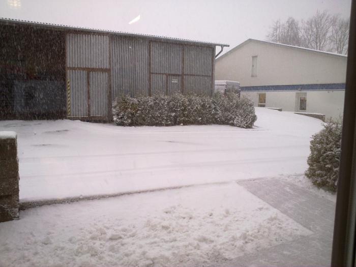 foto k příspěvku  od Sochař