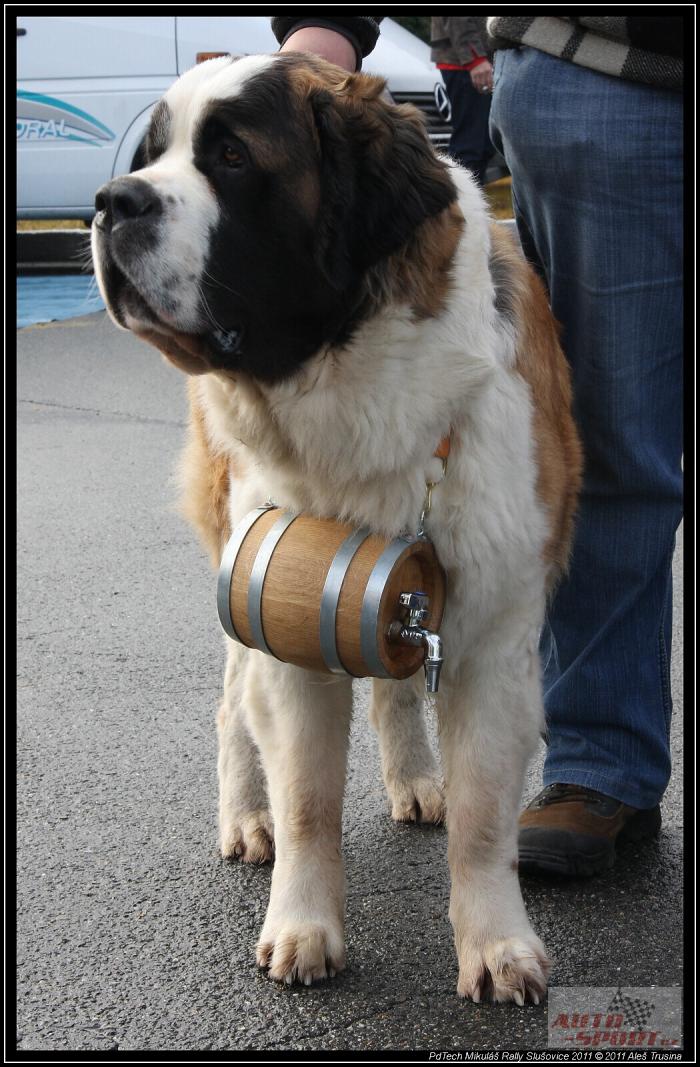 foto k příspěvku  od AlesHL