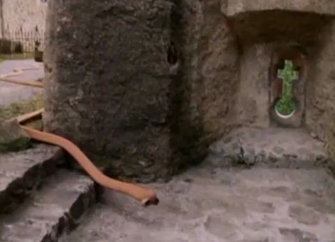 foto k příspěvku  od Rustapha-659