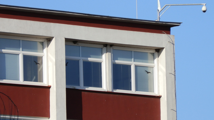 foto k příspěvku  od Crimson