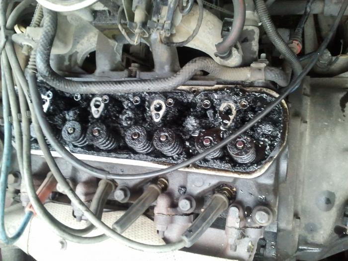 foto k příspěvku  od Soptík