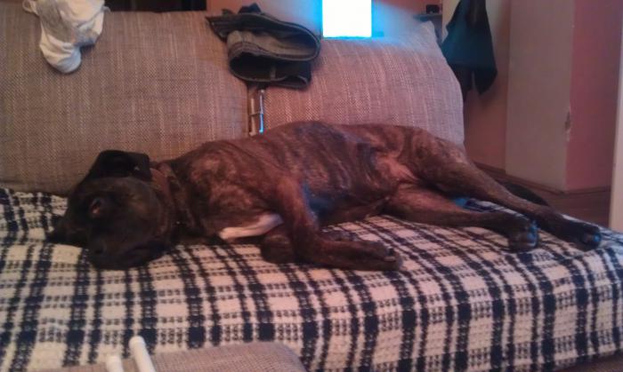 foto k příspěvku  od Jindrs