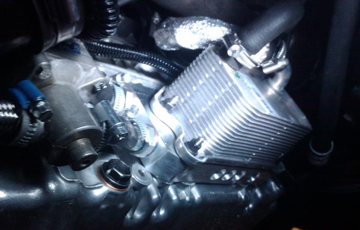 foto k příspěvku  od ps