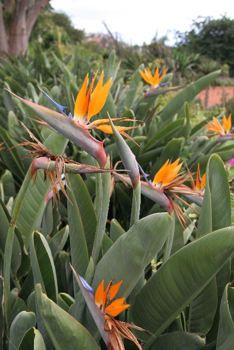 foto k příspěvku  od nome