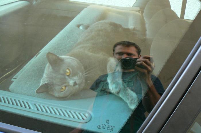 foto k příspěvku  od Milhauzz