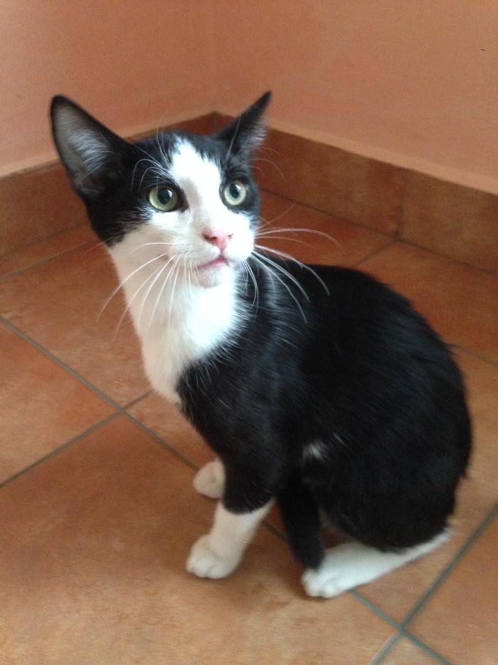 foto k příspěvku  od Pajk