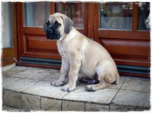 foto k příspěvku  od BATMAN