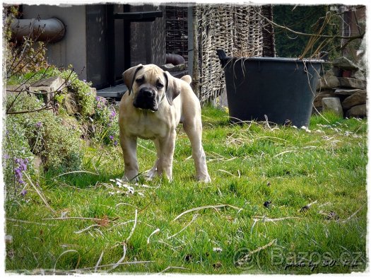 foto k příspěvku  od BATMAN