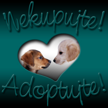 foto k příspěvku  od D@ve