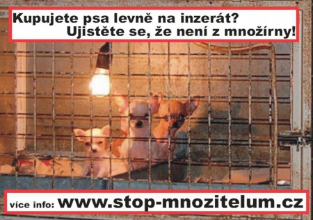 foto k příspěvku  od D@ve