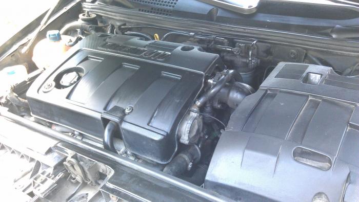 foto k příspěvku  od Fiaro