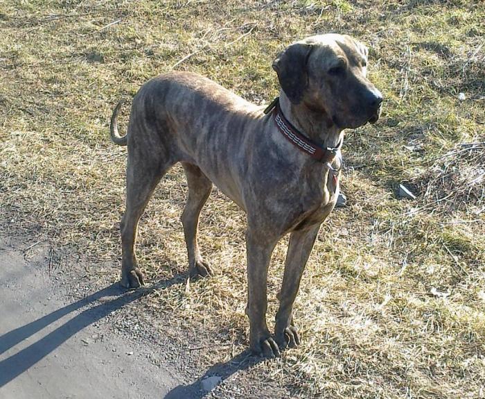 foto k příspěvku  od jura.j