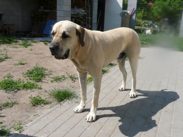 foto k příspěvku  od jura.j