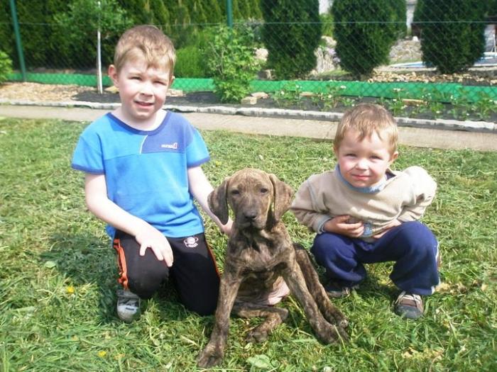 foto k příspěvku  od jura.j