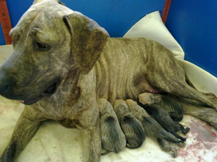 foto k příspěvku  od jura.j