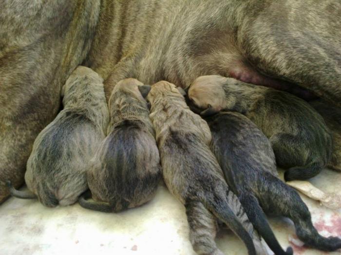 foto k příspěvku  od jura.j