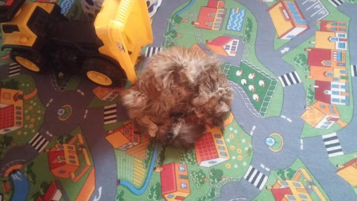 foto k příspěvku  od xSam