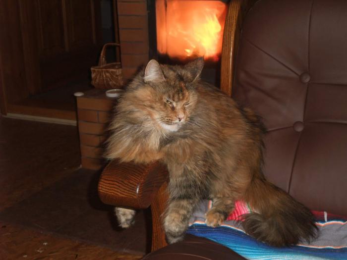 foto k příspěvku  od xSam