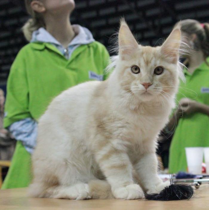 foto k příspěvku  od RudyV