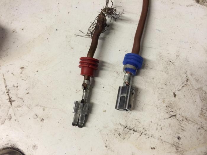 foto k příspěvku  od Knightey-