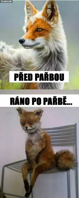 foto k příspěvku  od Petr735i